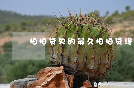 拍拍贷欠的最久(拍拍贷终于还清了)