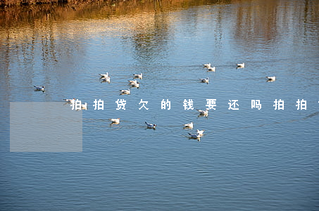拍拍贷欠的钱要还吗(拍拍贷需要还款吗?)