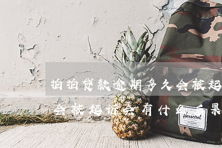 拍拍贷款逾期多久会被起诉(拍拍贷逾期多久会被起诉会有什么后果)