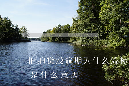 拍拍贷没逾期为什么流标(拍拍贷逾期走流程是什么意思)