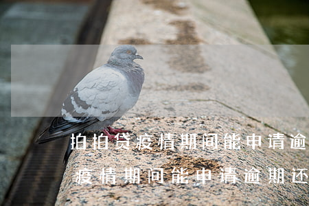 拍拍贷疫情期间能申请逾期还款吗-拍拍贷疫情期间能申请逾期还款吗安全吗