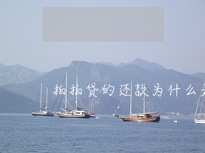 拍拍贷的还款为什么是P0S机-