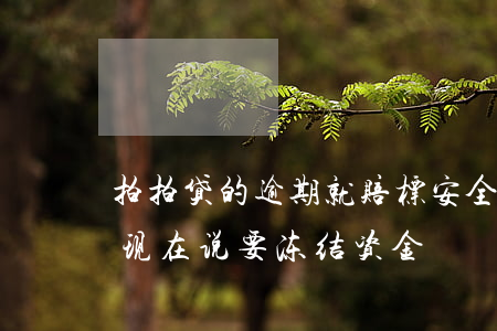 拍拍贷的逾期就赔标安全(拍拍贷逾期两千多现在说要冻结资金)