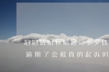 拍拍贷赔标赔逾期多少钱(欠拍拍贷5000 逾期了会被真的起诉吗)