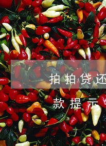 拍拍贷还款提示银行卡信息不符-拍拍贷还款提示银行卡信息不符怎么回事