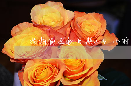 拍拍贷还款日期24小时还能吗-