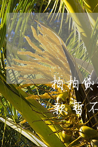 拍拍贷还款时显示不支持该通道-拍拍贷还款暂不支持该银行交易