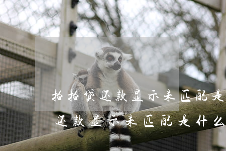 拍拍贷还款显示未匹配是什么意思-拍拍贷还款显示未匹配是什么意思啊
