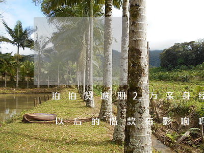 拍拍贷逾期2万亲身经历(拍拍贷逾期两天对以后的借款有影响吗)