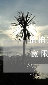 拍拍贷逾期2天利息多少(拍拍贷有三天还款宽限期吗)