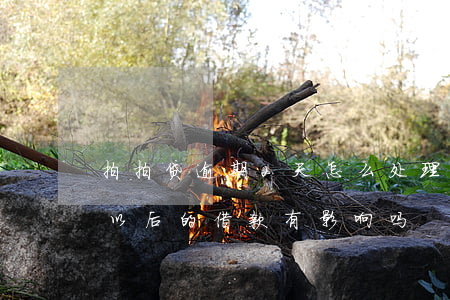 拍拍贷逾期2天怎么处理(拍拍贷逾期两天对以后的借款有影响吗)