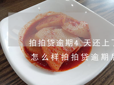 拍拍贷逾期4天还上了-拍拍贷逾期三天会怎么样?拍拍贷逾期后果介绍