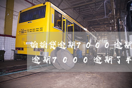 拍拍贷逾期7000逾期了半年了-拍拍贷逾期7000逾期了半年了,会构成刑事案件吗