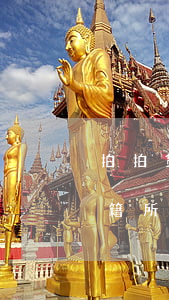 拍拍贷逾期8天(拍拍贷逾期8天了让我回户籍所在地么)