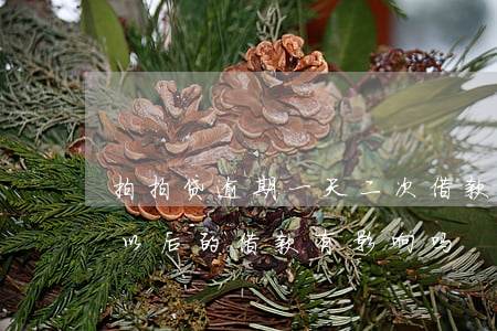 拍拍贷逾期一天二次借款(拍拍贷逾期两天对以后的借款有影响吗)