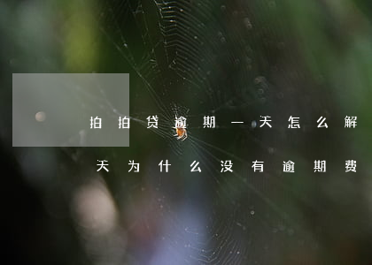 拍拍贷逾期一天怎么解决(上海拍拍贷逾期一天为什么没有逾期费用)