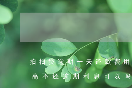 拍拍贷逾期一天还款费用(拍拍贷逾期费用太高,不还逾期利息可以吗)