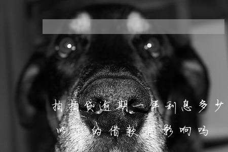 拍拍贷逾期一年利息多少(拍拍贷逾期一天对以后的借款有影响吗)