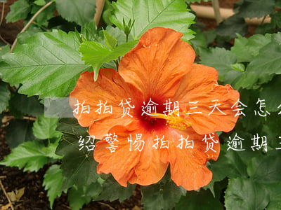 拍拍贷逾期三天会怎么样拍拍贷逾期后果介绍，警惕！拍拍贷逾期三天的严重后果介绍