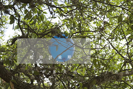 拍拍贷逾期不上门怎么办(拍拍贷借款逾期600多天找上门了怎么样)