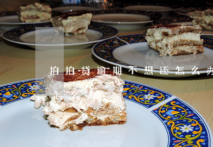 拍拍贷逾期不想还怎么办(拍拍贷逾期不想还怎么办)