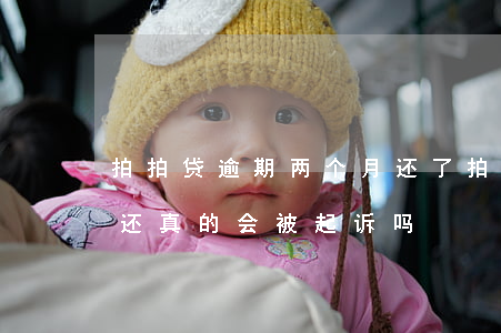 拍拍贷逾期两个月还了 拍拍贷逾期两个月不还,真的会被起诉吗