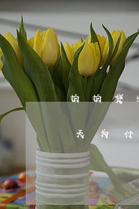 拍拍贷逾期两小时怎么办(上海拍拍贷逾期一天为什么没有逾期费用)