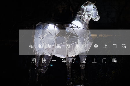 拍拍贷逾期两年会上门吗(拍拍贷欠一万多逾期快一年了会上门吗)