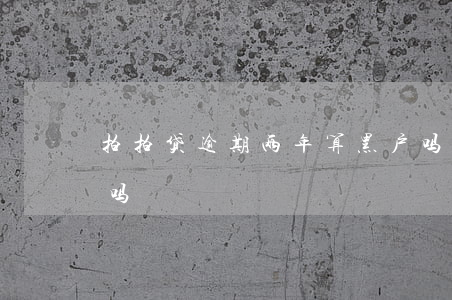 拍拍贷逾期两年算黑户吗(黑户拍拍贷会下款吗)