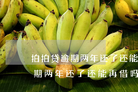 拍拍贷逾期两年还了还能再借吗-拍拍贷逾期两年还了还能再借吗知乎