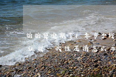 拍拍贷逾期了1年多少钱(拍拍贷逾期一个月让我一次性还清 怎么办)