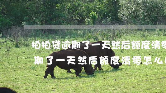 拍拍贷逾期了一天然后额度清零-拍拍贷逾期了一天然后额度清零怎么回事