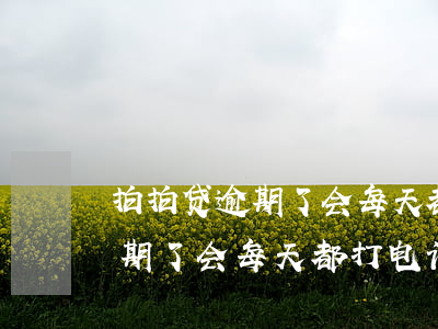 拍拍贷逾期了会每天都打电话吗-拍拍贷逾期了会每天都打电话吗是真的吗