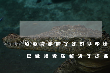 拍拍贷逾期了还可以申请吗-拍拍贷有逾期已经陆续在解决了,还会被起诉吗