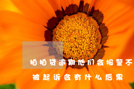 拍拍贷逾期他们会报警不(拍拍贷逾期多久会被起诉会有什么后果)