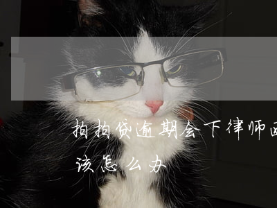 拍拍贷逾期会下律师函吗(收到拍拍贷律师函该怎么办)