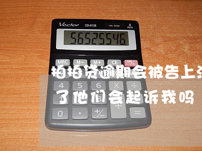 拍拍贷逾期会被告上法庭(欠拍拍贷的钱逾期了,他们会起诉我吗?)