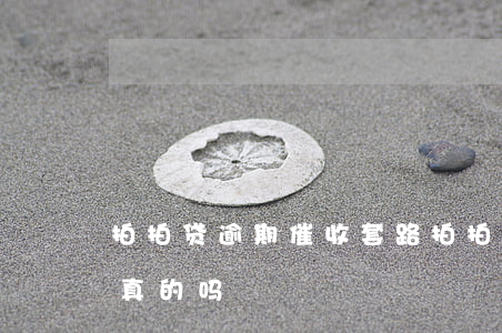 拍拍贷逾期催收套路(拍拍贷逾期催收套路是真的吗)