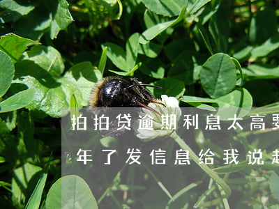 拍拍贷逾期利息太高要起诉我(拍拍贷逾期一年了发信息给我说起诉了)