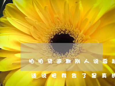 拍拍贷逾期别人说要起诉(拍拍贷逾期后打电话说把我告了是真的吗)