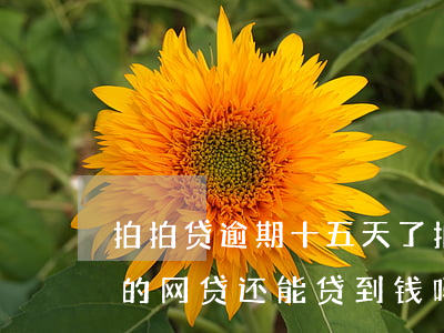拍拍贷逾期十五天了(拍拍贷逾期15天在别的网贷还能贷到钱吗?)