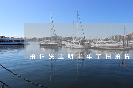 拍拍贷逾期半年了(拍拍贷逾期半年了怎么办)