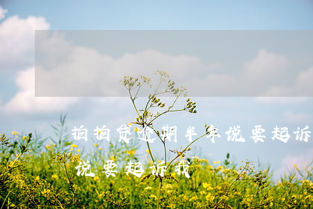 拍拍贷逾期半年说要起诉我(拍拍贷逾期半年说要起诉我)