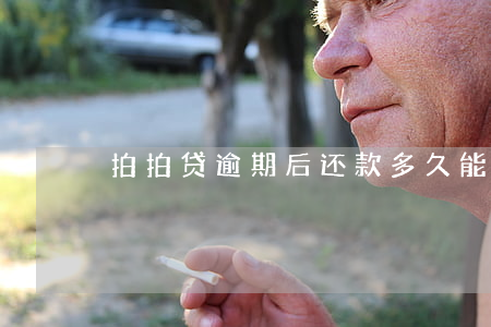 拍拍贷逾期后还款，多久能再次借款？