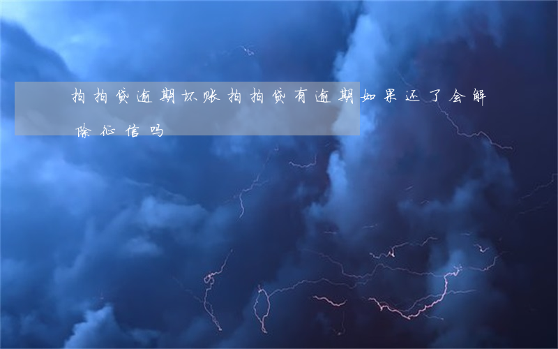 拍拍贷 逾期 坏账(拍拍贷有逾期如果还了会解除征信吗?)