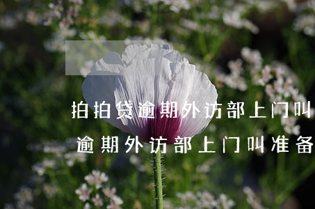 拍拍贷逾期外访部上门叫准备好钱-拍拍贷逾期外访部上门叫准备好钱是真的吗