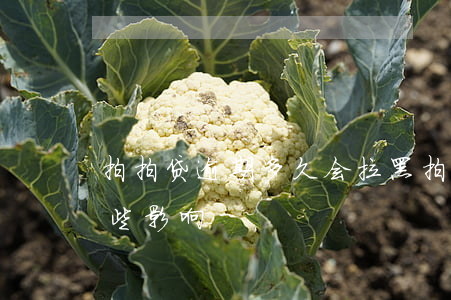 拍拍贷逾期多久会拉黑 拍拍贷拉黑了会有哪些影响?