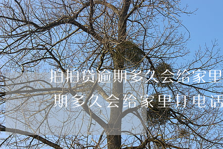 拍拍贷逾期多久会给家里打电话-拍拍贷逾期多久会给家里打电话催收