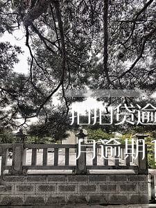 拍拍贷逾期多少钱会被起诉(拍拍贷逾期3个月逾期1200元会被起诉吗)