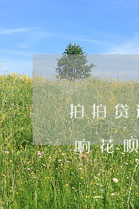 拍拍贷逾期影不影响花呗(拍拍贷逾期影不影响花呗)